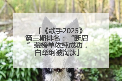 《歌手2025》第三期排名：“断眉”袭榜单依纯成功，白举纲被淘汰