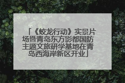 《蛟龙行动》实景片场暨青岛东方影都国防主题文旅研学基地在青岛西海岸新区开业
