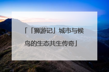「狮游记」城市与候鸟的生态共生传奇