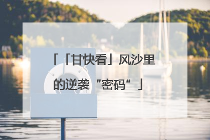 「甘快看」风沙里的逆袭“密码”