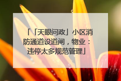 「天眼问政」小区消防通道设道闸，物业：违停太多规范管理