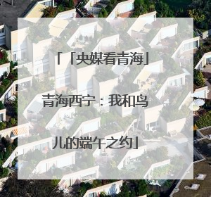 「央媒看青海」青海西宁：我和鸟儿的端午之约