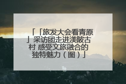 「旅发大会看青原」采访团走进渼陂古村 感受文旅融合的独特魅力（图）