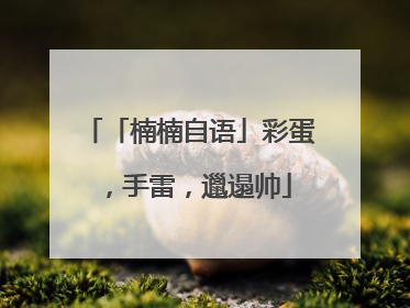「楠楠自语」彩蛋，手雷，邋遢帅