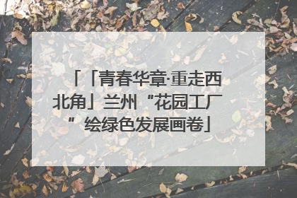 「青春华章·重走西北角」兰州“花园工厂”绘绿色发展画卷