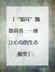 “猫耳”飘散荷香：一座江心岛的生态蜕变