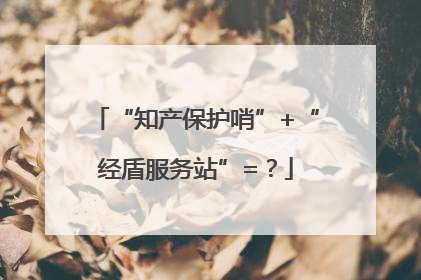 “知产保护哨”+“经盾服务站”=？