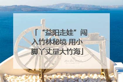 “益阳走娃”闯入竹林秘境 用小脚丫丈量大竹海