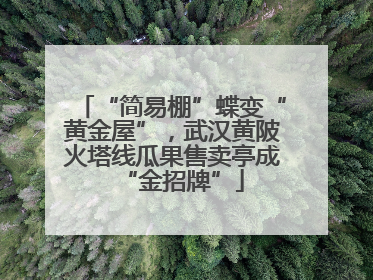 “简易棚”蝶变“黄金屋”，武汉黄陂火塔线瓜果售卖亭成“金招牌”