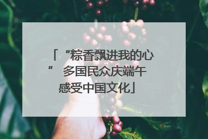 “粽香飘进我的心” 多国民众庆端午感受中国文化