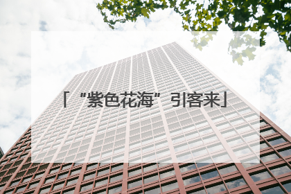 “紫色花海”引客来