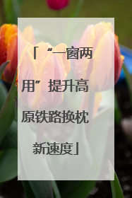 “一窗两用”提升高原铁路换枕新速度