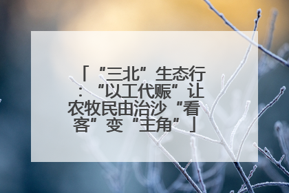 “三北”生态行：“以工代赈”让农牧民由治沙“看客”变“主角”