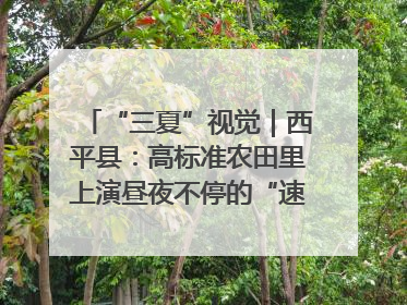 “三夏”视觉｜西平县：高标准农田里上演昼夜不停的“速度与激情”