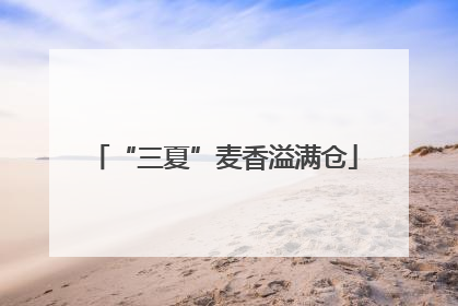 “三夏”麦香溢满仓