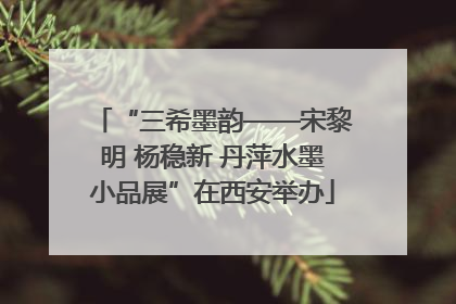 “三希墨韵——宋黎明 杨稳新 丹萍水墨小品展”在西安举办