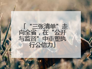 “三张清单”走向全省，在“公开与监督”中重塑执行公信力