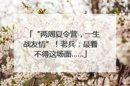 “两周夏令营，一生战友情”！老兵：最看不得这场面……