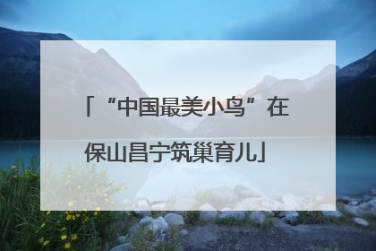 “中国最美小鸟”在保山昌宁筑巢育儿