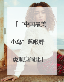 “中国最美小鸟”蓝喉蜂虎现身闽北