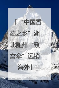 “中国香菇之乡”湖北随州“致富伞”远销海外