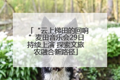 “云上梯田的回响”麦田音乐会29日持续上演 探索文旅农融合新路径