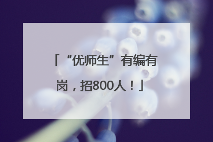 “优师生”有编有岗，招800人！