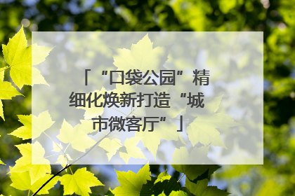 “口袋公园”精细化焕新打造“城市微客厅”