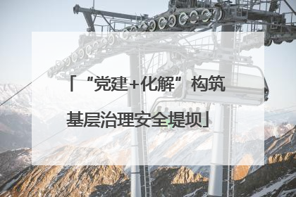 “党建+化解”构筑基层治理安全堤坝