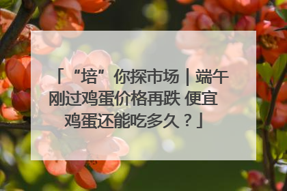 “培”你探市场｜端午刚过鸡蛋价格再跌 便宜鸡蛋还能吃多久？