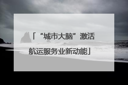 “城市大脑”激活航运服务业新动能