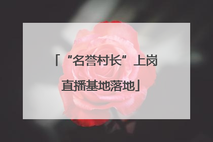 “名誉村长”上岗 直播基地落地