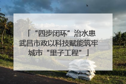 “四步闭环”治水患 武昌市政以科技赋能筑牢城市“里子工程”