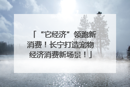 “它经济”领跑新消费！长宁打造宠物经济消费新场景！