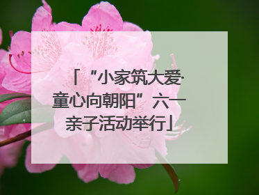 “小家筑大爱·童心向朝阳”六一亲子活动举行