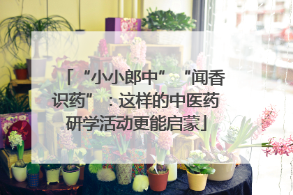 “小小郎中”“闻香识药”：这样的中医药研学活动更能启蒙