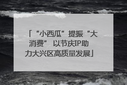 “小西瓜”提振“大消费” 以节庆IP助力大兴区高质量发展