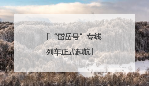 “岱岳号”专线列车正式起航