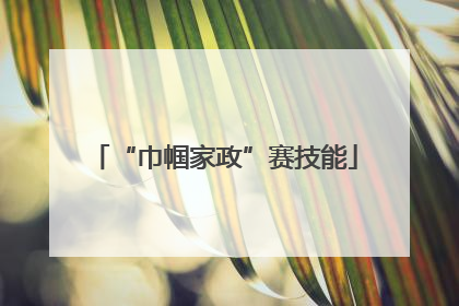 “巾帼家政”赛技能