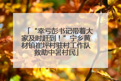 “幸亏彭书记带着大家及时赶到！”宁乡黄材镇崔坪村驻村工作队救助中暑村民