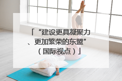 “建设更具凝聚力、更加繁荣的东盟”（国际视点）
