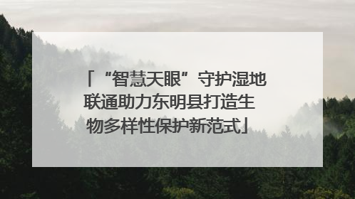 “智慧天眼”守护湿地 联通助力东明县打造生物多样性保护新范式