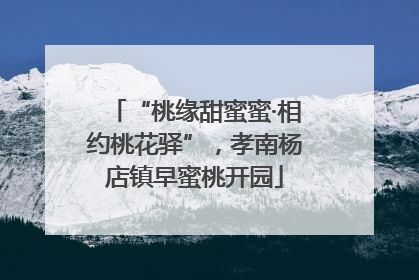 “桃缘甜蜜蜜·相约桃花驿”，孝南杨店镇早蜜桃开园
