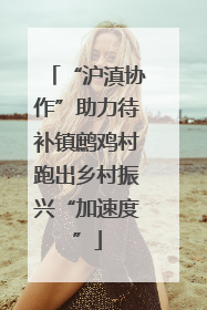 “沪滇协作”助力待补镇鹧鸡村跑出乡村振兴“加速度”