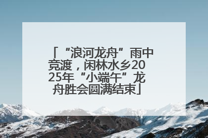 “浪河龙舟”雨中竞渡，闲林水乡2025年“小端午”龙舟胜会圆满结束