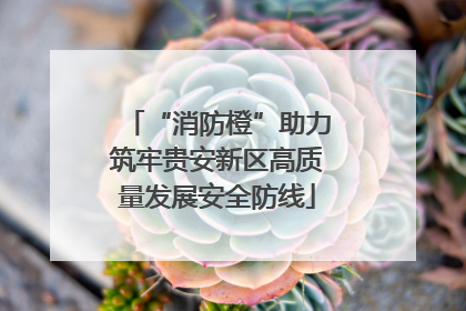 “消防橙”助力筑牢贵安新区高质量发展安全防线