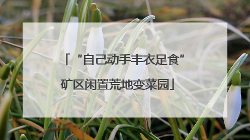 “自己动手丰衣足食”矿区闲置荒地变菜园