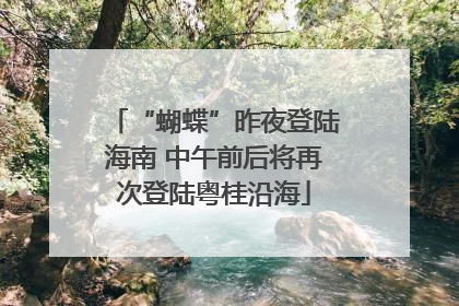 “蝴蝶”昨夜登陆海南 中午前后将再次登陆粤桂沿海