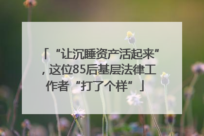 “让沉睡资产活起来”，这位85后基层法律工作者“打了个样”