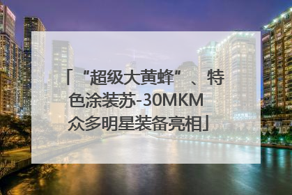 “超级大黄蜂”、特色涂装苏-30MKM 众多明星装备亮相